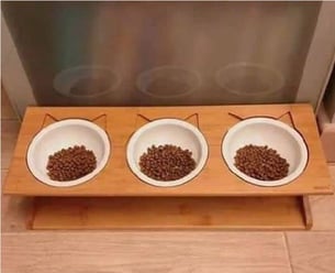 cat-bowls